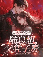 夫人要离婚,陆总想父凭子贵