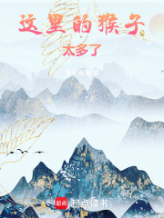 这里的猴子太多了!