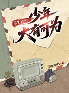 重生1985,少年大有可为